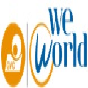 منظمة مجموعة المتطوعين المدنيين