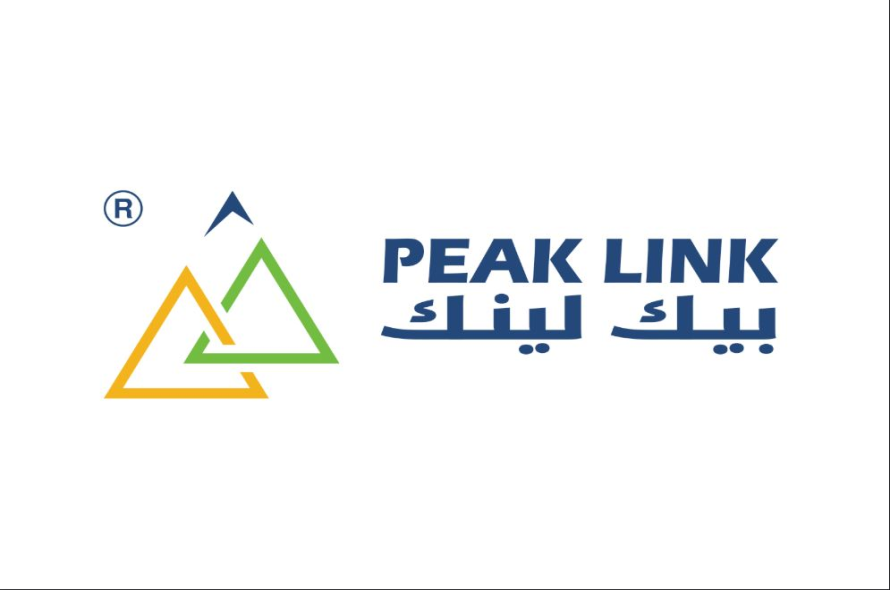 مجموعة بيك لينك لحلول تكنولوجيا المعلومات والتحول الرقمي